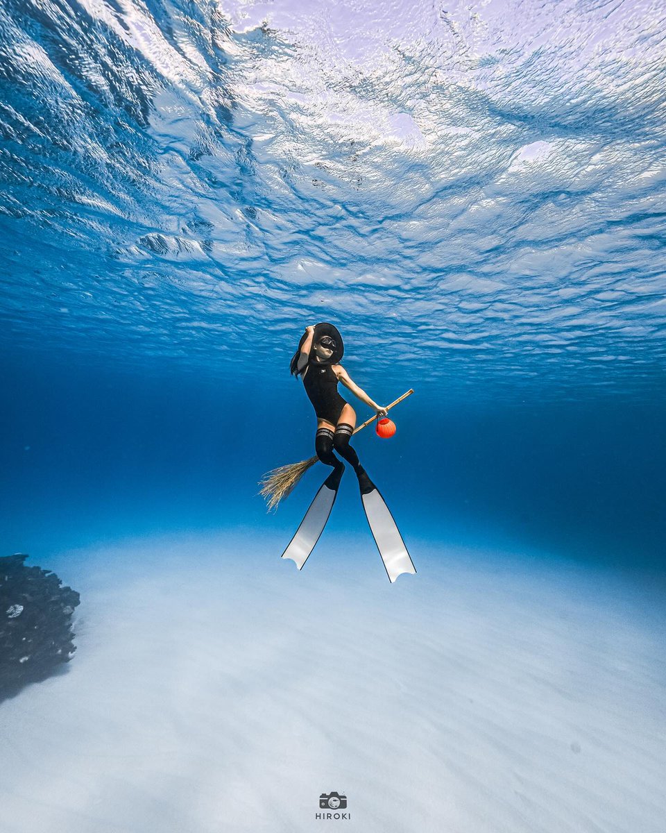 scubadivingyard's tweet photo. 💎💎💎
.
.
.
.
#skindiving #freediving #underwater #underwaterlife #underwaterworld https://t.co/cMgmkqaNu4