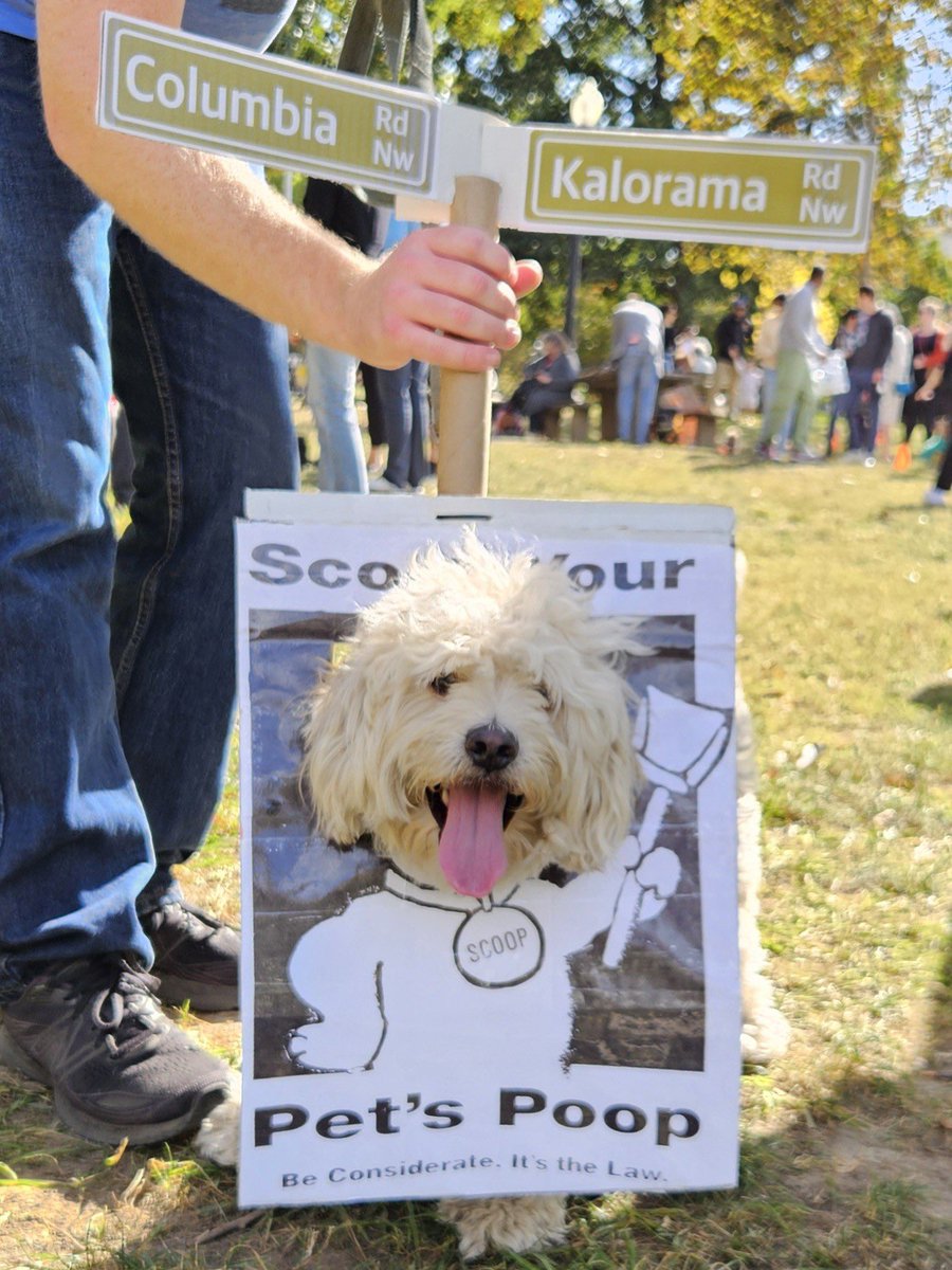 Andrew Small (@asmall_word) on Twitter photo Yoshi had a great time at the Kalorama Park Halloween Dog Parade.
He went as a <a href="/DOEE_DC/">Department of Energy & Environment</a> dog poop PSA sign. Very scary 🦴 🐶 💩 Yoshi had a great time at the Kalorama Park Halloween Dog Parade.
He went as a <a href="/DOEE_DC/">Department of Energy & Environment</a> dog poop PSA sign. Very scary 🦴 🐶 💩