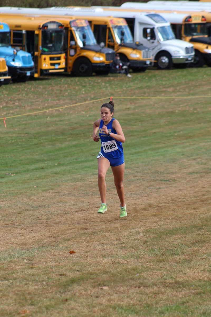 Mercy Tigers tweet media