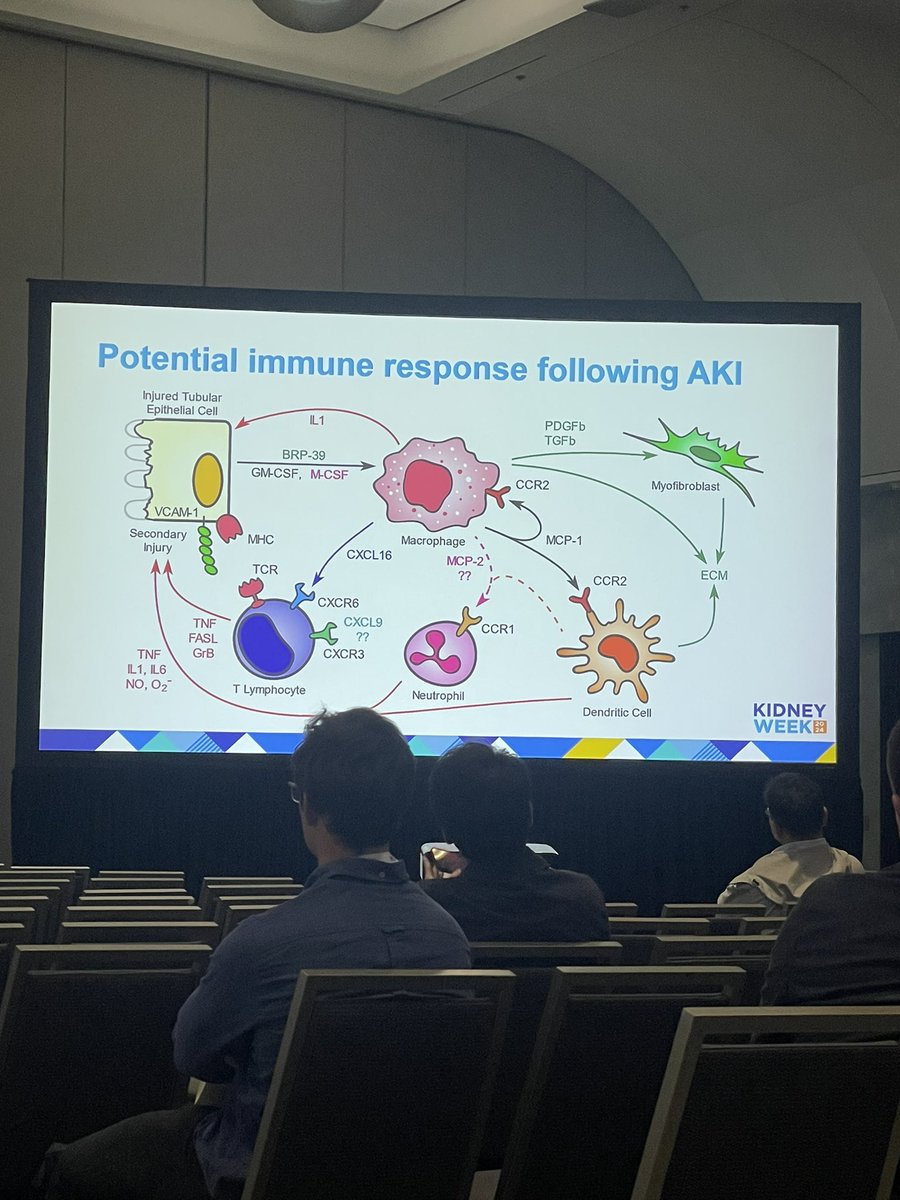 Yale Nephrology tweet media