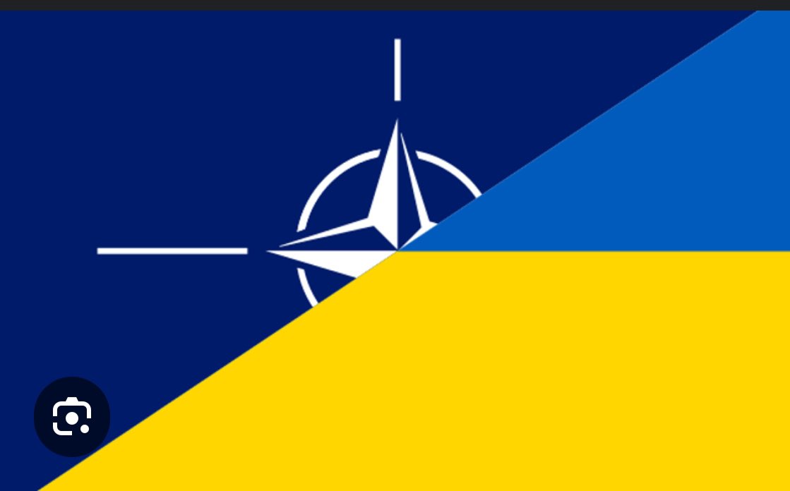 🇺🇦🇺🇦 Retweet for Ukraine to be approved for NATO🇺🇦🇺🇦