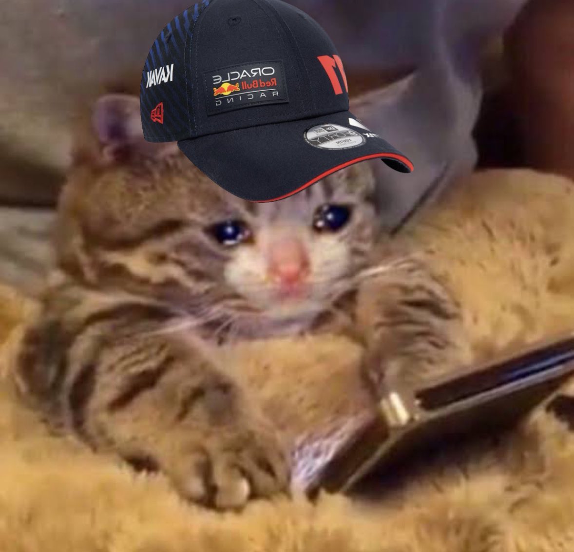 laufelicciano's tweet photo. Qualy Mexico GP out of context https://t.co/jsdOVYGm1X