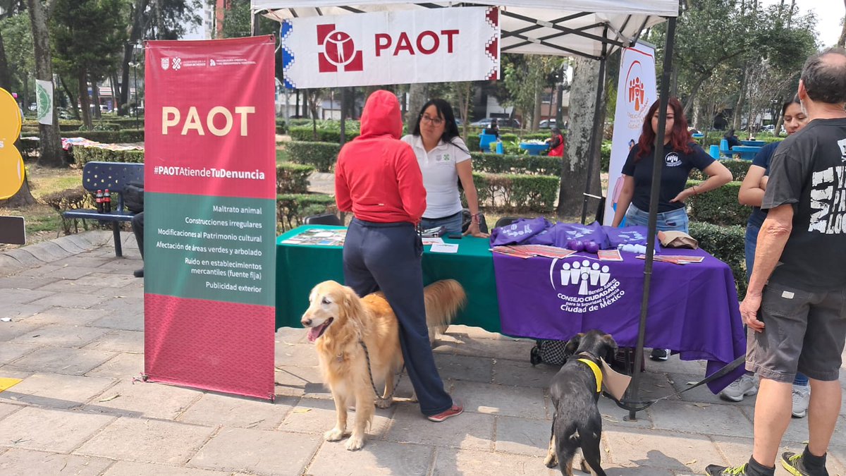 PAOTmx's tweet photo. Esta tarde participamos en el #CanFest en Parque Arboledas, alcaldía Benito Juárez, orientando a los asistentes sobre sus derechos y obligaciones urbano ambientales 🌳🐕🔊 https://t.co/xLhdiVz9mT