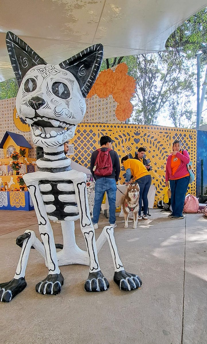 PAOTmx's tweet photo. Esta tarde participamos en el #CanFest en Parque Arboledas, alcaldía Benito Juárez, orientando a los asistentes sobre sus derechos y obligaciones urbano ambientales 🌳🐕🔊 https://t.co/xLhdiVz9mT
