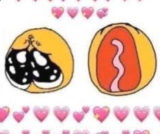 AmazingDeadFish's tweet image. EUEEEUUUEUEUEUEEEE 
｡⁠:ﾟ⁠(⁠;⁠´⁠∩⁠`⁠;⁠)ﾟ⁠:⁠｡