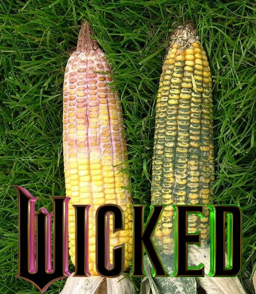 Realityguy tweet media