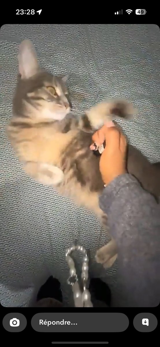 adele_hmn's tweet image. @ring_ash qui plante un chat? 🤨🤨🤨🤨📸📸📸