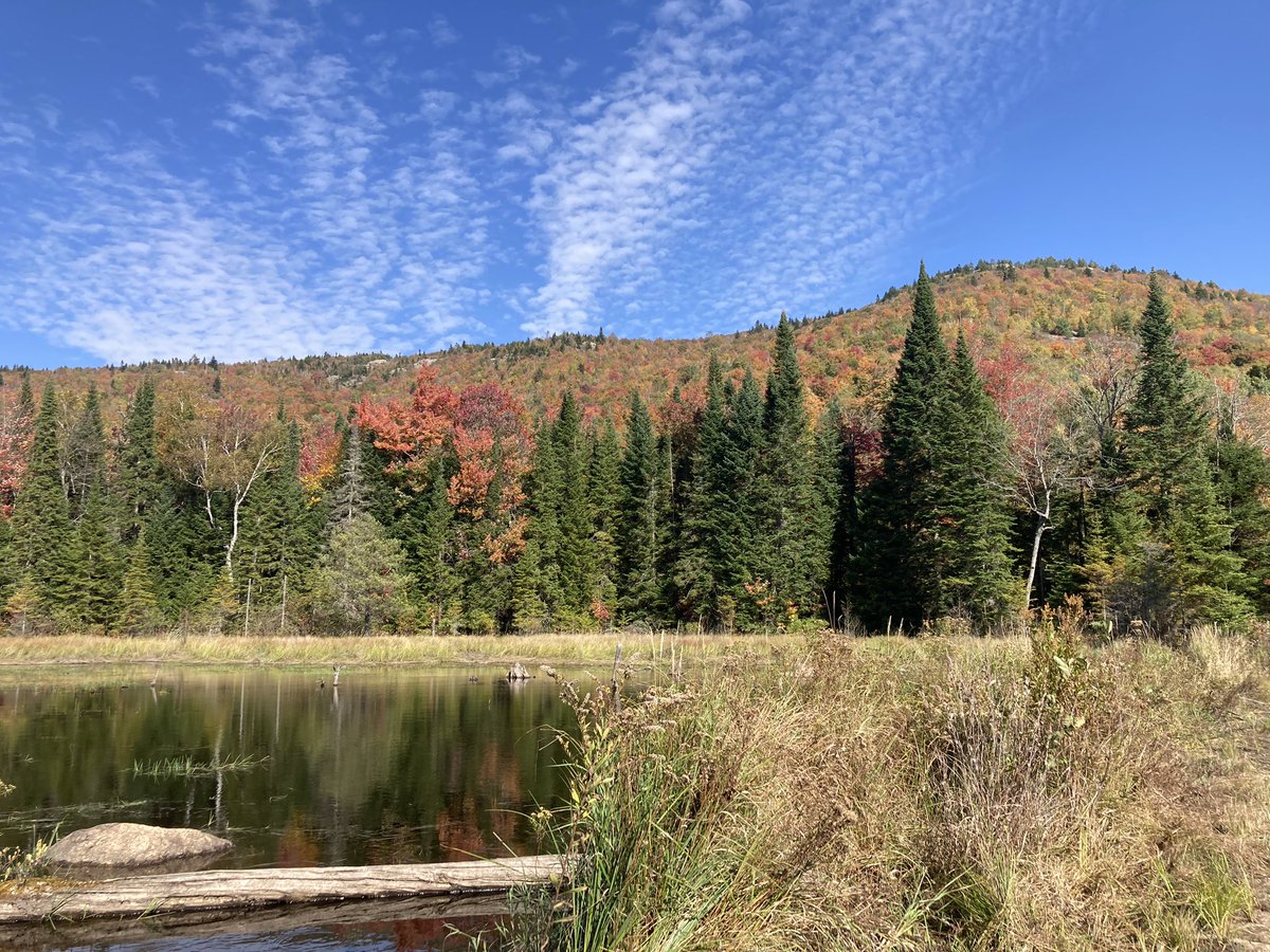 It’s the season for checking and deploying new #cameratraps. Check out some of the places where we’re working  in Adirondack Park - from Wilderness Areas to working forests on Conservation Easement lands. <a href="/PSCNatSci/">Paul Smith's College Natural Sciences Department</a> <a href="/sunyesf/">SUNY ESF</a> <a href="/Roosevelt_ESF/">Roosevelt Wild Life Station</a> <a href="/NEWildNet/">Northeast Wildlife</a>
