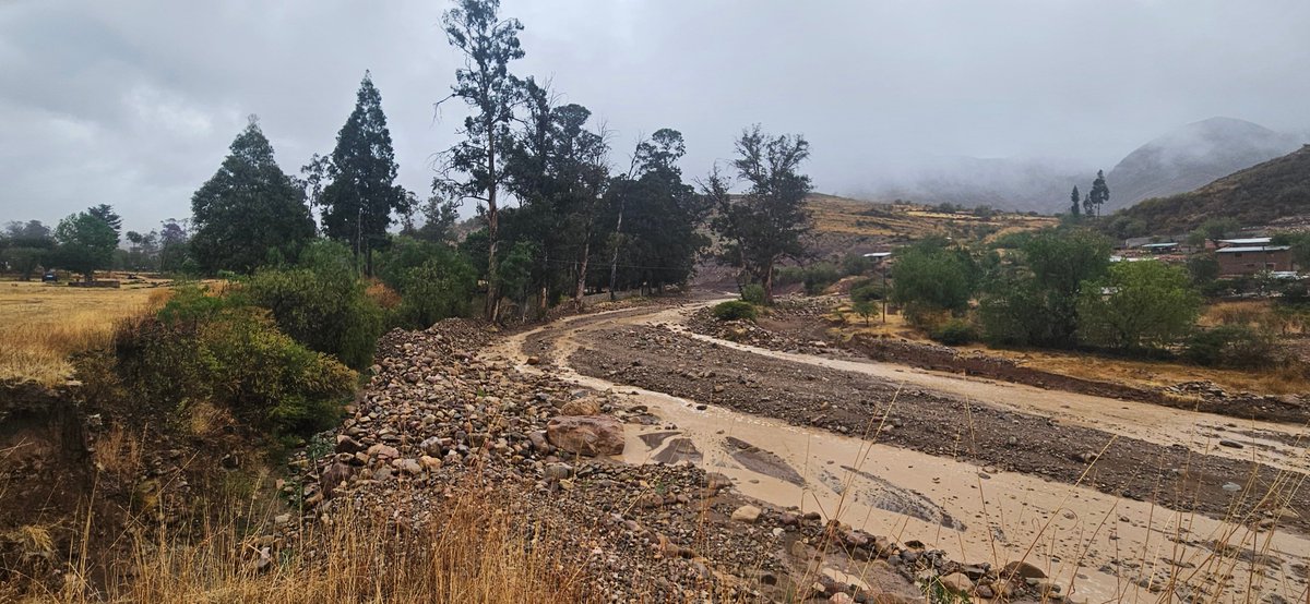 Thibault Datry @tdatry.bsky.social (@tdatry) on Twitter photo Exploring #DryingRiverNetworks in #Altiplano ⛰️#Bolivia: #DryRiverbeds with🦖dinosaur’s footprints, alternating dry & wet phases within <24h: exciting future study site #ClimateChange #FreshwaterBiodiversity #WaterScarcity
@Dryver_H2020 <a href="/EcoFlowS/">EcoFlowS</a> <a href="/INRAE_Lyon_Gre/">INRAE Lyon-Grenoble Auvergne-Rhône-Alpes</a> <a href="/USFXBolivia/">Universidad San Francisco Xavier de Chuquisaca</a> Exploring #DryingRiverNetworks in #Altiplano ⛰️#Bolivia: #DryRiverbeds with🦖dinosaur’s footprints, alternating dry & wet phases within <24h: exciting future study site #ClimateChange #FreshwaterBiodiversity #WaterScarcity
@Dryver_H2020 <a href="/EcoFlowS/">EcoFlowS</a> <a href="/INRAE_Lyon_Gre/">INRAE Lyon-Grenoble Auvergne-Rhône-Alpes</a> <a href="/USFXBolivia/">Universidad San Francisco Xavier de Chuquisaca</a>
