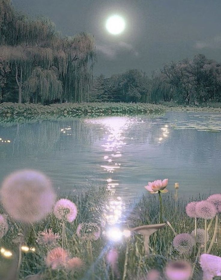in the moonlight.ྀ࿐