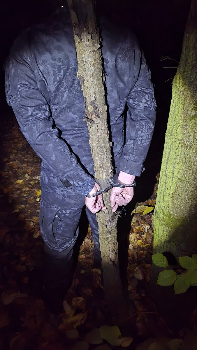 Tonight <a href="/_d_nn_s_/">d_nn_s</a> spends some time in the woods...