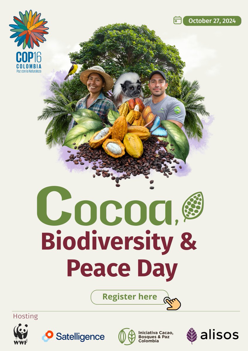 alisosnet's tweet photo. 🌱✨ The brochure for the Day of Cacao, Biodiversity &amp; Peace is here! Discover everything you need to know about our event on October 27 at COP16. 

🍫Don't miss it!

👉Register now! https://t.co/lFkZKkxUHX

#CocoaDayCOP16 #Cocoabiodiversitypeace #COP16 https://t.co/Ps37znLF7z