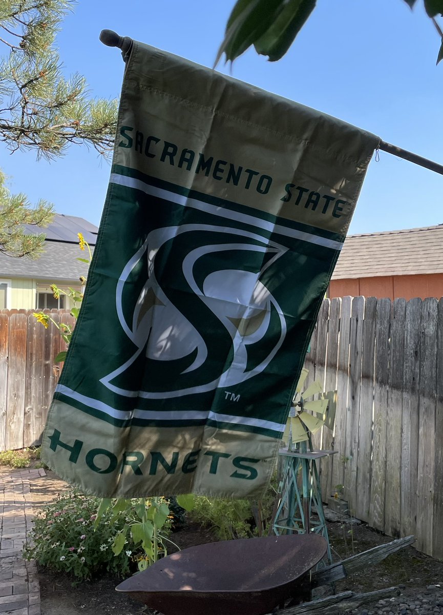 SloweyNancy's tweet photo. @SacHornetsFB  LETS GO Hornets! #StingersUp 🐝🏈 https://t.co/h1kQA4whqT