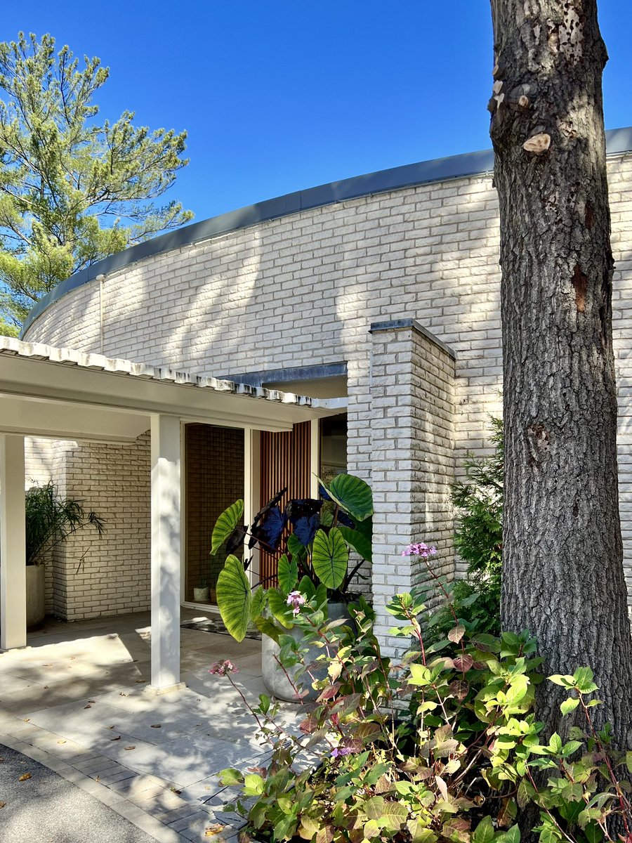 Max Chavez tweet media