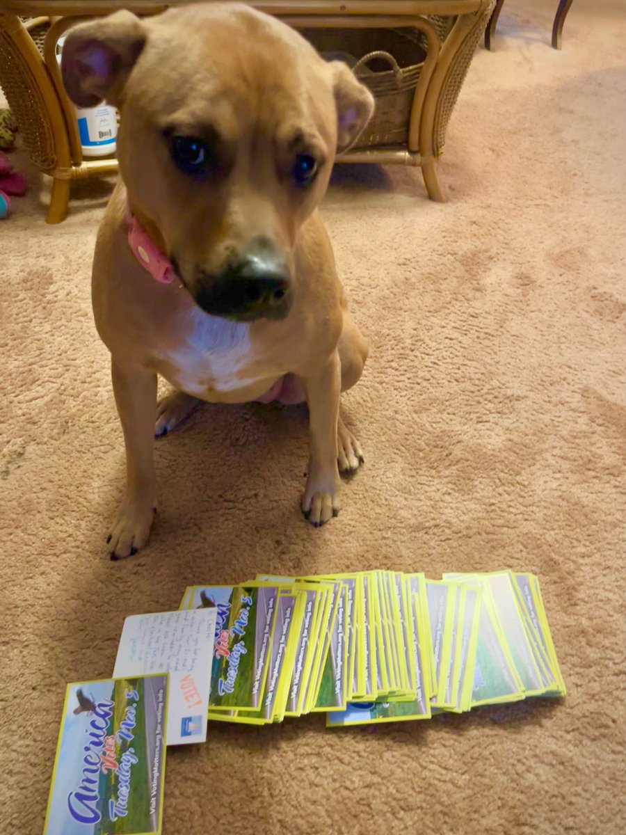JocelynRish's tweet photo. But if I've convinced a few more people to go out and vote to save our democracy, then it was all worthwhile.❤️♡💙

While Postcards to Swing States is over, there are still a few days left to write and send letters via @votefwd. Join me!!! https://t.co/V9RX1KI4YI https://t.co/qLVZuZsOR4