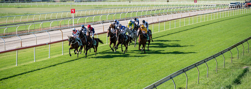 Port Macquarie Track Report Sunday 27th October, 2024 7:45am
Good 4
Rail: +3M Entire
Rain: Last 7 days: 25mm Last 24hrs: NIL
Irrigation: Last 7 days: 20mm Last 24hrs: NIL
Weather: Fine