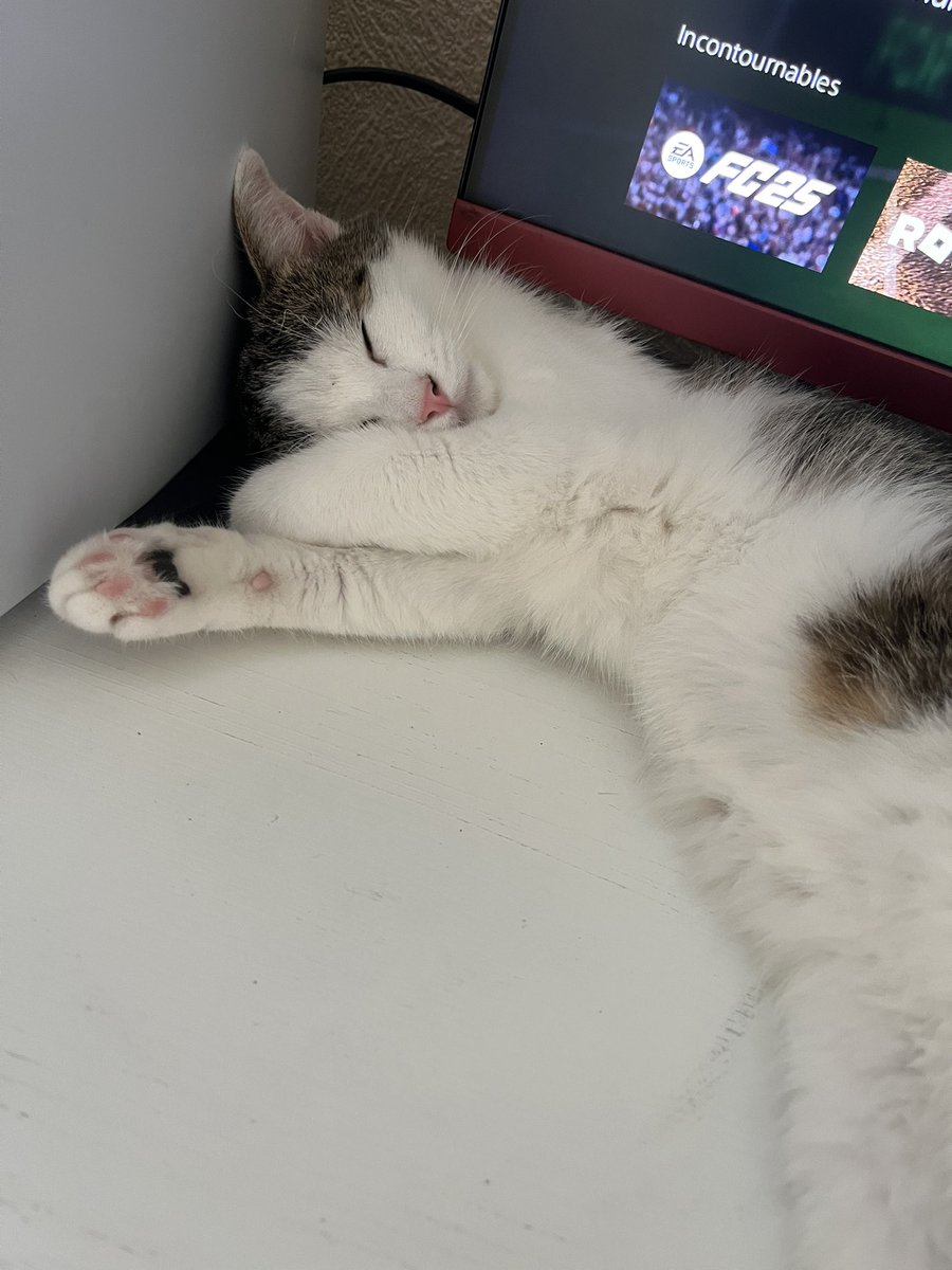 スネークアイ tweet media