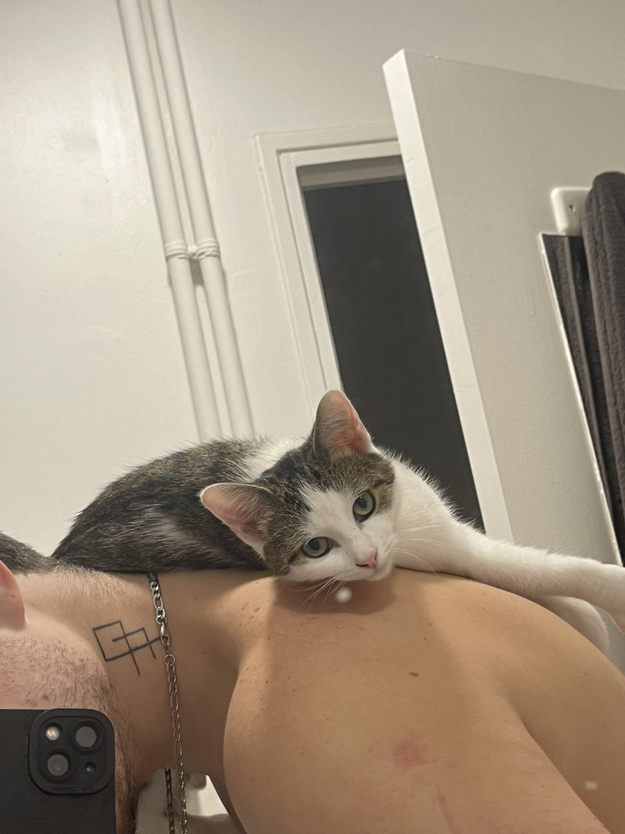 スネークアイ tweet media