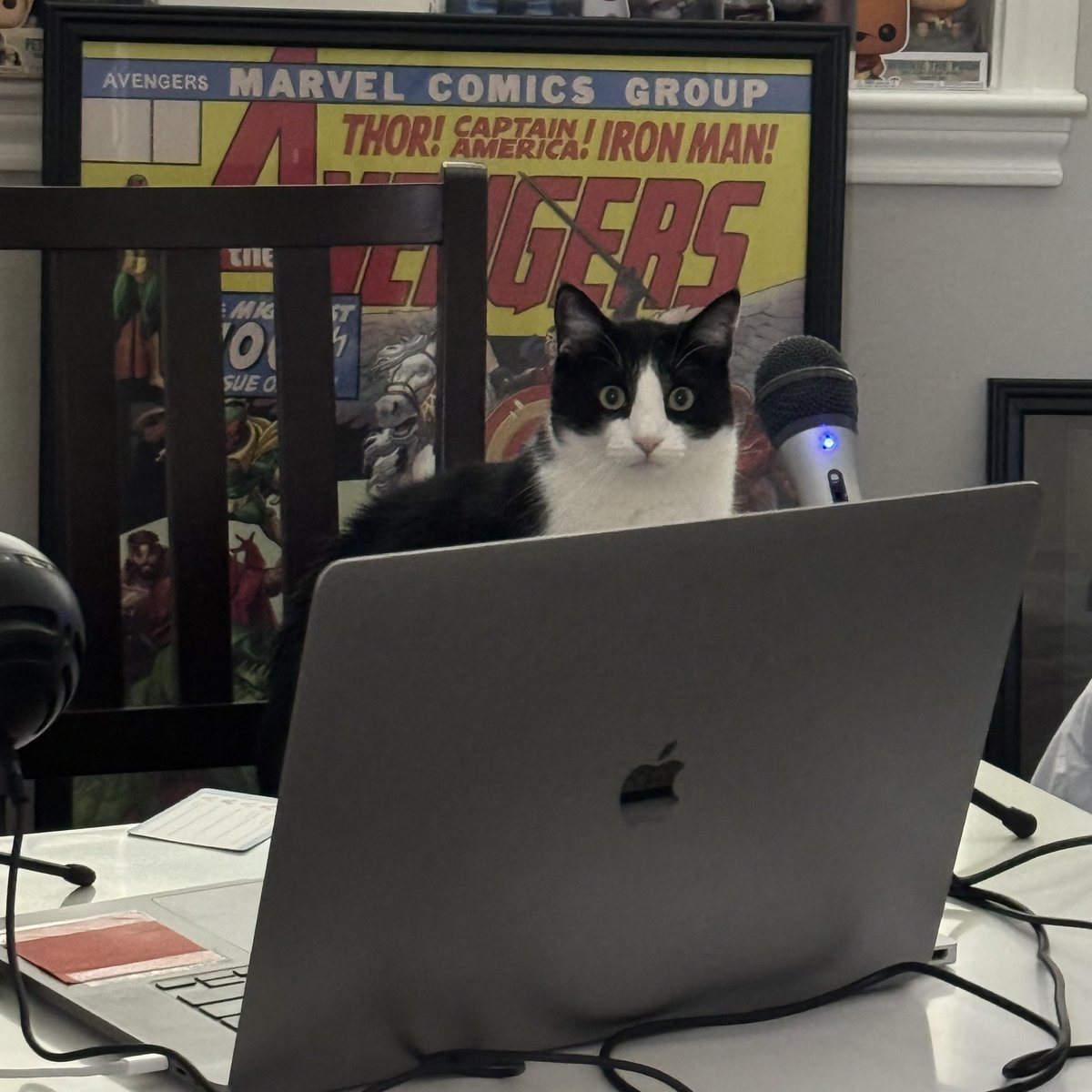 Disney Assembled tweet media