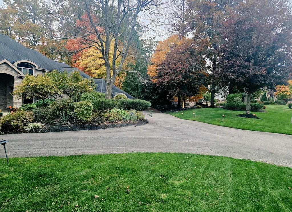 kevingoodmanBBN's tweet photo. It's not too late to schedule your fall leaf and yard cleanups.
Our son Danny has a few spots left 4 his Crew 2 schedule ur clean up 
Commercial or Residential this Fall
Free estimates 216.440.5449 @DGPicturePerfect Instagram
#Landscaping #CLE #TheHts #Chagrin
#FallLeafCleanUp https://t.co/CCkgG4Lqgf