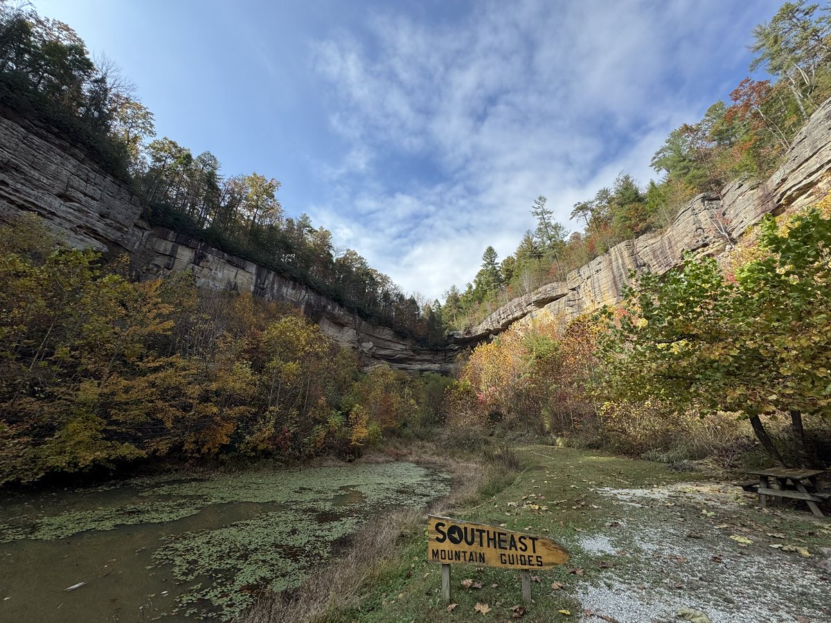 Riggs Lewis tweet media