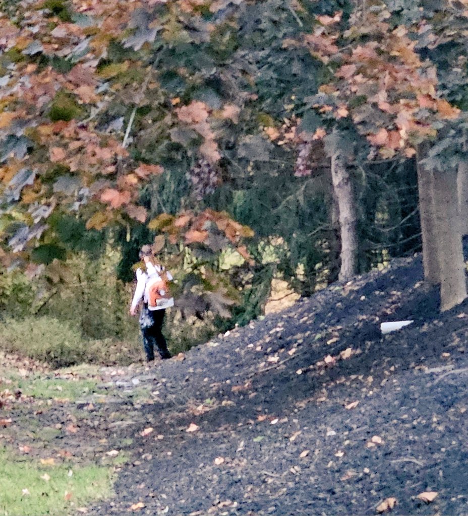 MosesCLE's tweet photo. It's not too late to schedule your fall leaf and yard cleanups.
Our son Danny has a few spots left 4 his Crew 2 schedule ur clean up 
Commercial or Residential this Fall
Free estimates 216.440.5449 @DGPicturePerfect Instagram
#Landscaping #CLE #TheHts #Chagrin
#FallLeafCleanUp https://t.co/lnWdjR6IF3
