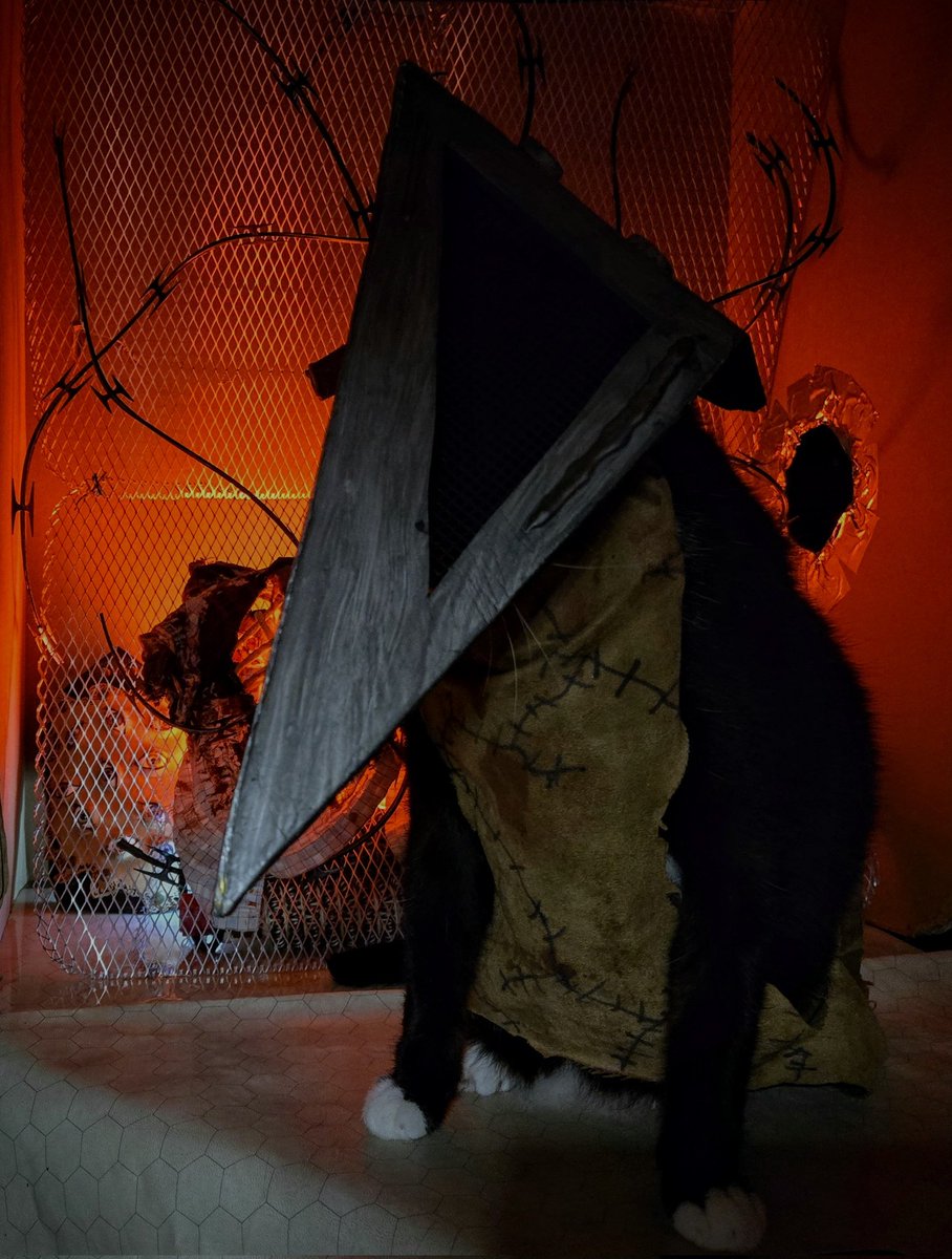 Cat_Cosplay's tweet photo. Purramid Head 

#SilentHill https://t.co/JVayyniDjO