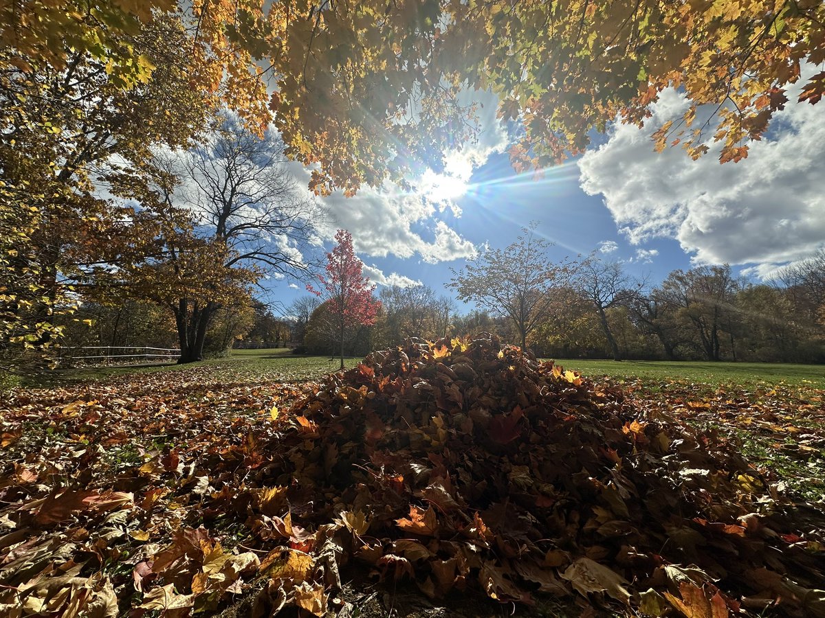 EmilyLouisePike's tweet image. Loving what’s left of the foliage in Yarmouth, ME!
