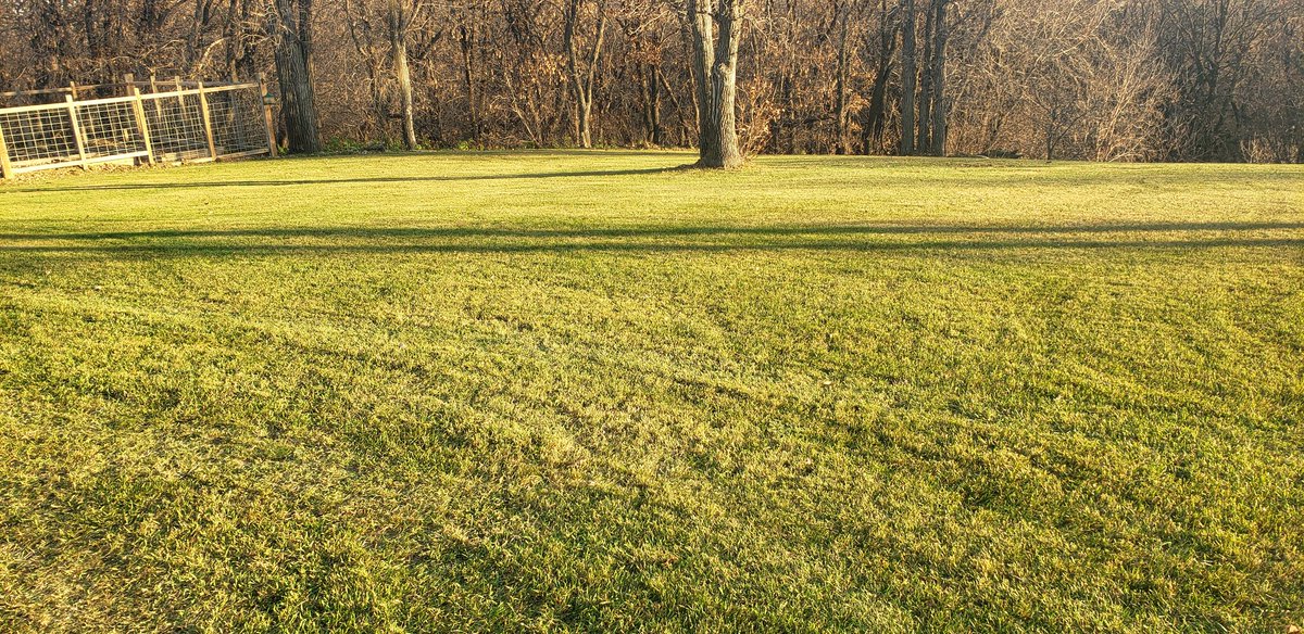 Kendall Heise tweet media