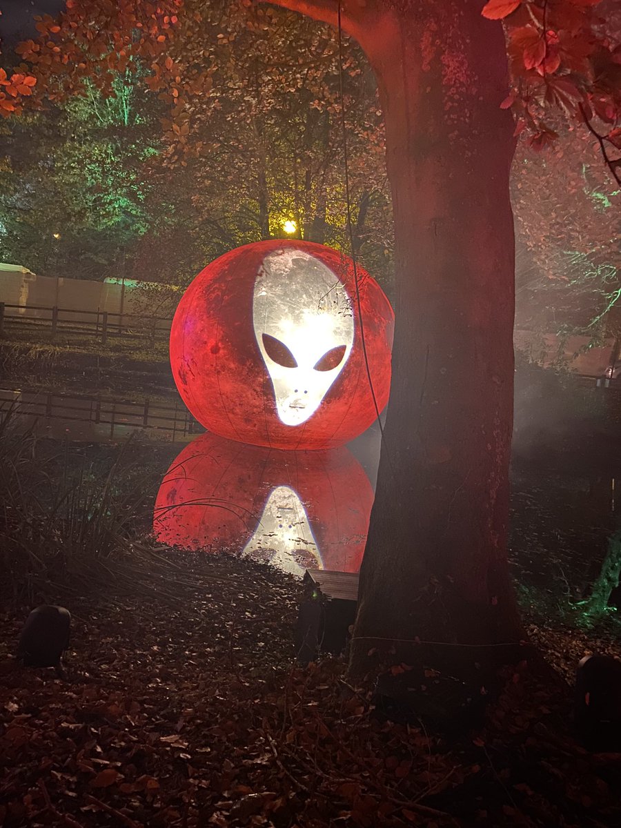 Natalie182's tweet photo. #thehalloweentrail https://t.co/3jauyDECEe