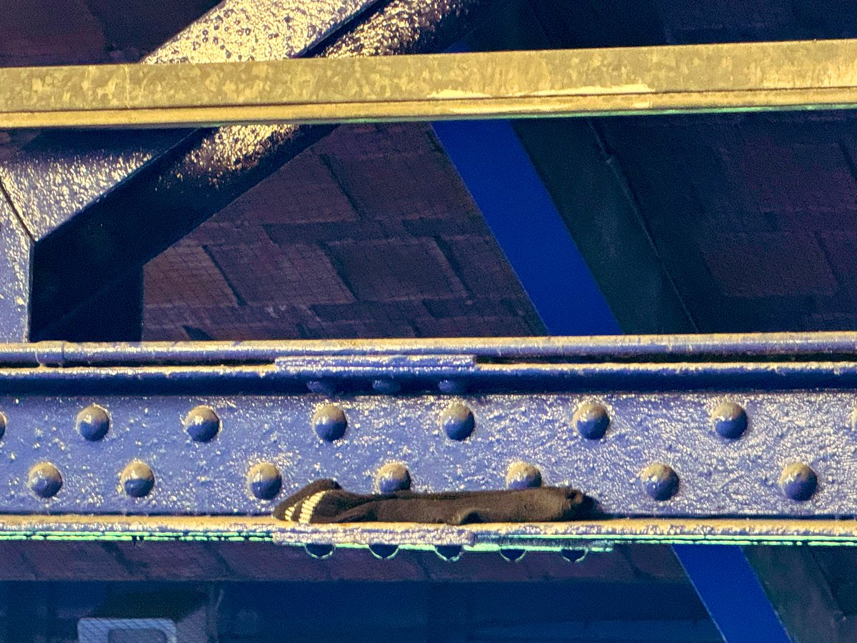 jen_efc's tweet image. The Everton sock robbers 🤣🧦 #EFC #toffees #1878 #LowerGwladys