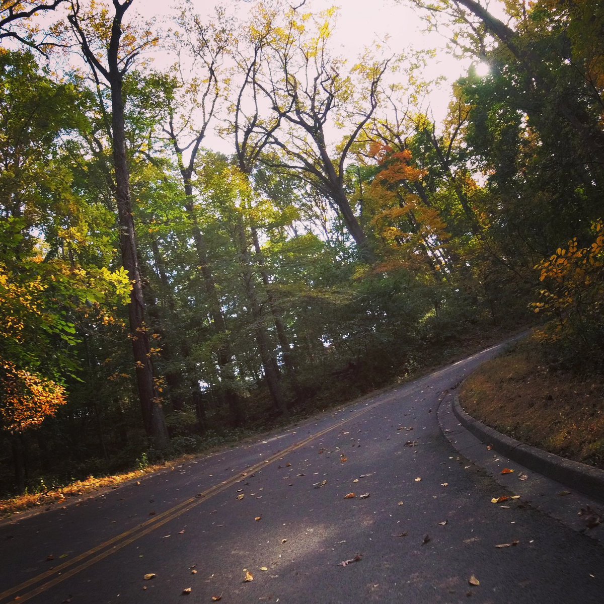 Chris_Roell's tweet photo. Rocking the majestic
Rock Creek Park Hills on today's Hills of DC Bike Ride. I rode the beginners route &amp; ended up with 2,629 ft of climbing at 22.8
miles. The ride now has 102,871 ft of climbing for the year! #bikedc #hillsofdc #hodc #hillsofrockcreek https://t.co/dpCgVMHE0w