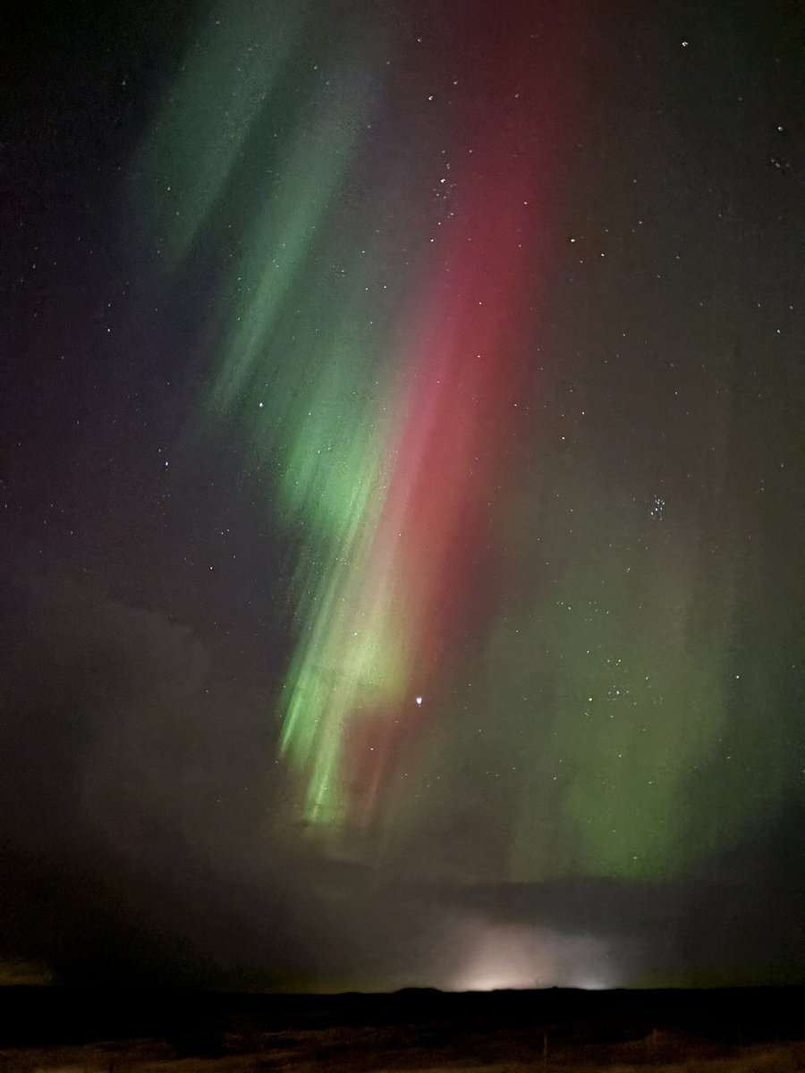 Danielle Foster tweet media