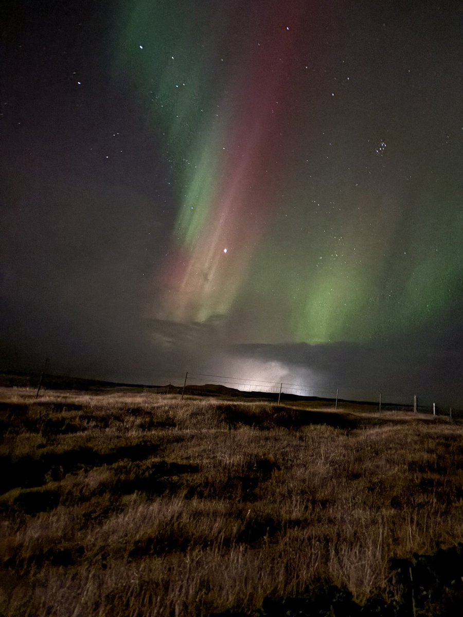 Danielle Foster tweet media