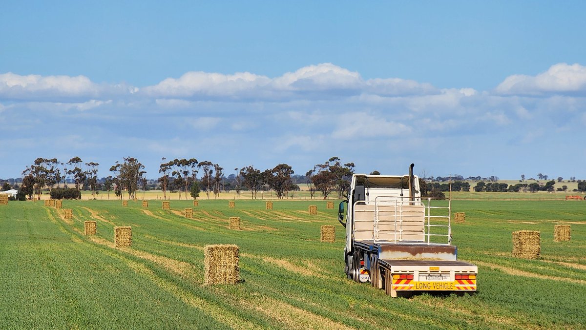 Corbin Schuster tweet media