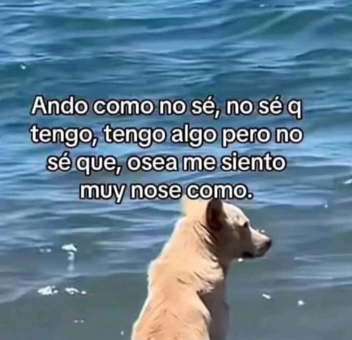 WeonChileno's tweet photo. https://t.co/jEVOdZZPDs