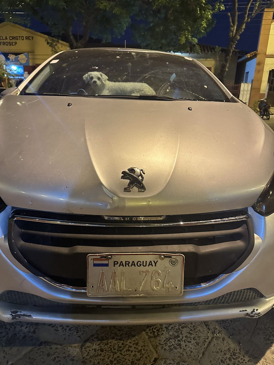 HDP que le deja encerrado a su perro en su auto, que gente de mierda 😡😡😡