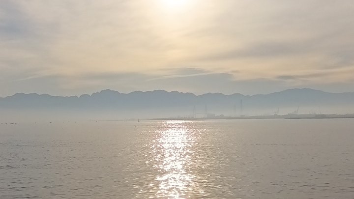 03cyan's tweet photo. 今日のようす
ほぼイカ釣り、アジ釣りからの大物狙い、ジギングで青物、ダツ釣れてます
皆さん釣れるでしょう https://t.co/upG4ZF9qyf