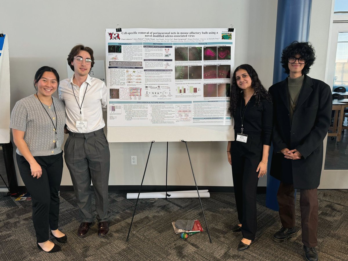 Sonya Baman, Chris Lohmeier, Ram Guruprasad, &amp; Yuelia Chang are at the MidBrains conference this weekend! The team is enjoying gelato &amp; presenting on their work using an AAV to target mitral cells to secrete ChABC to digest extracellular matrix! #UndergradResearch #STEMatSLAC