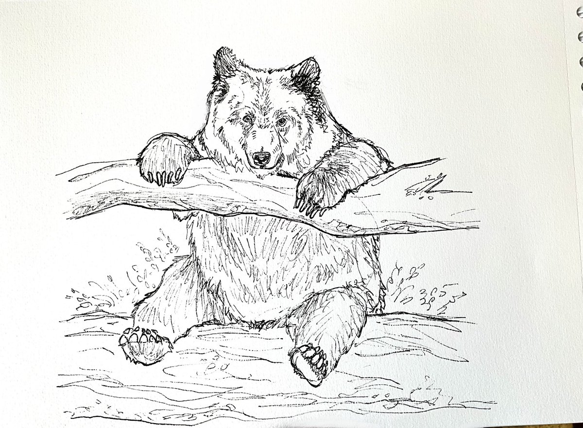 emiibears's tweet photo. Octobear 26! 🐻🪵🍃✨ https://t.co/ltRrEjXoVi