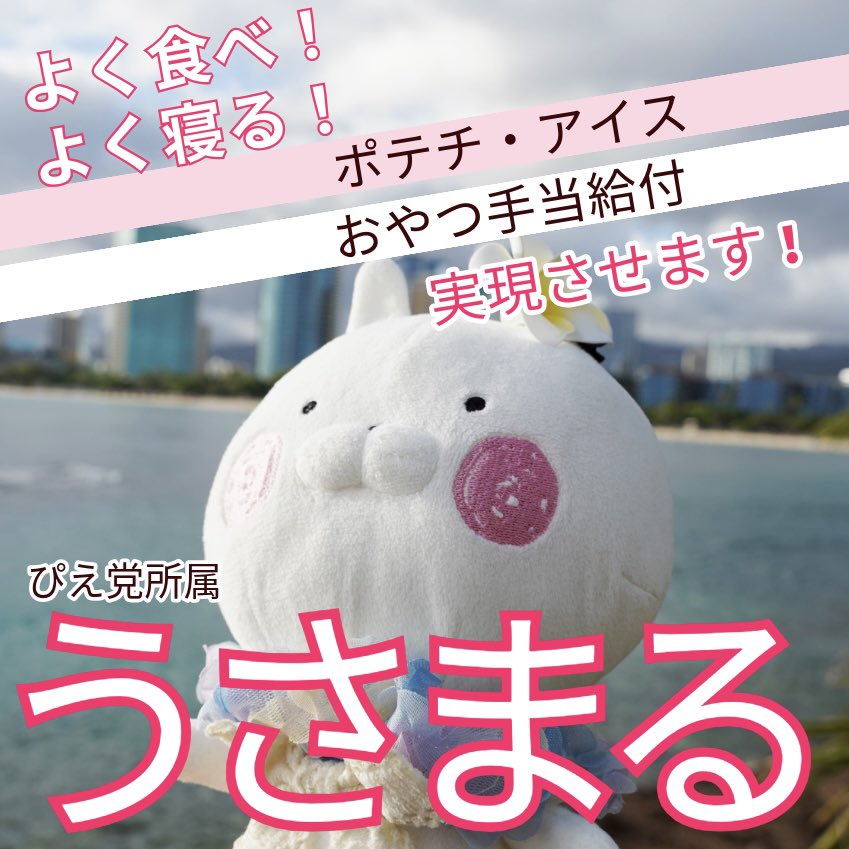 うさまる10周年 - Search / X