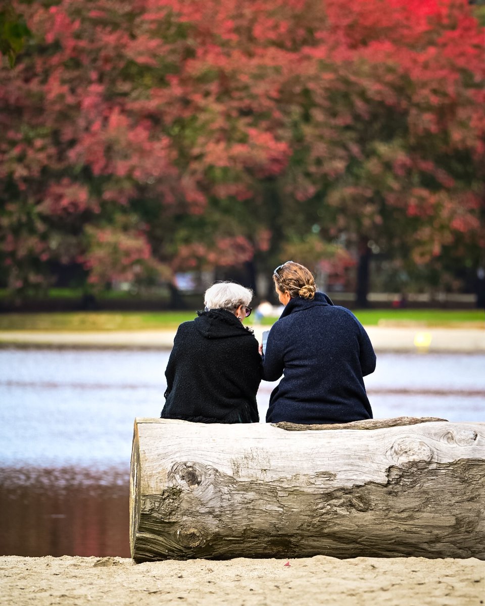 Vancouver brilla con los vibrantes colores del otoño 🍂⁣⁣
⁣⁣⁣⁣⁣⁣⁣⁣Etiqueta #VeryVancouver para tener la oportunidad de ser destacado.
📸: @hipolkevin