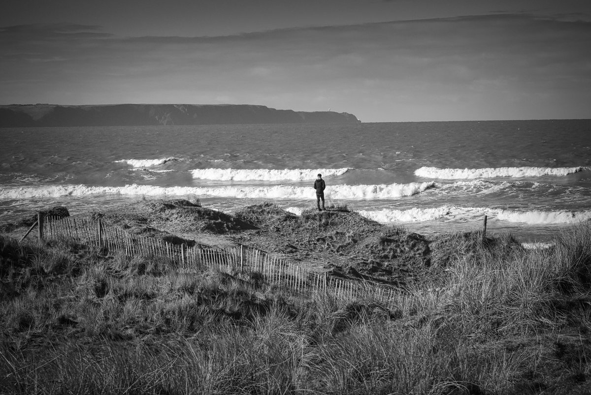 thisdevon's tweet photo. #devon #this_devon @northam.burrows #oneimadeearlier #Beck https://t.co/9zuGZbd7OB