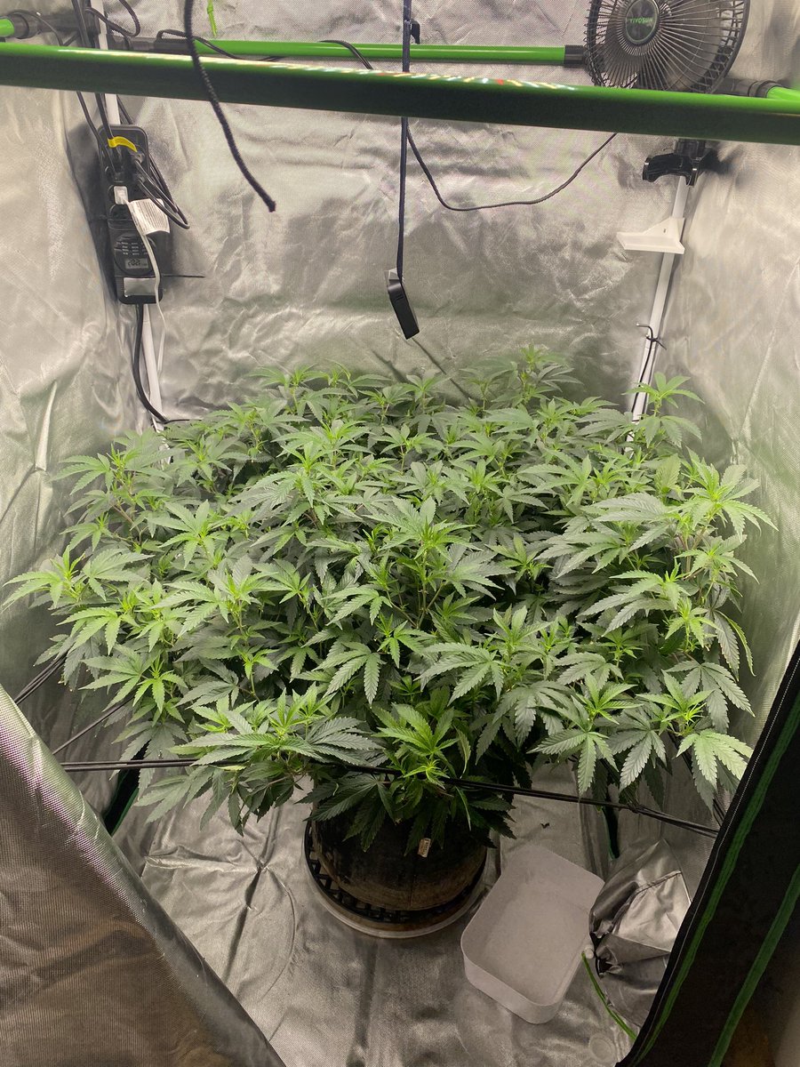 The Prince of DC tweet media