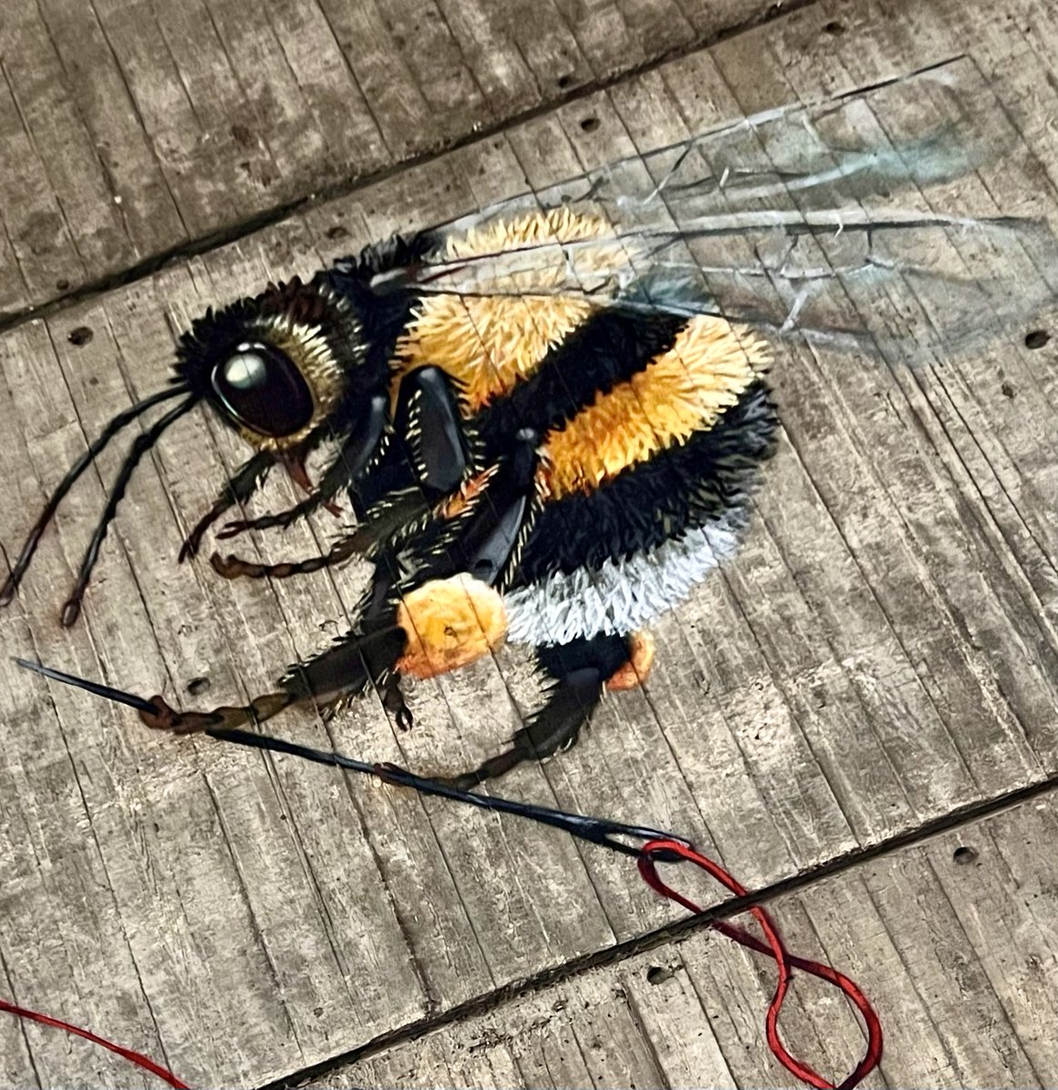 #SundayYellow - artist Louis Masai has done several murals on the theme of 'Save the Bees' - this one adorns an underpass at London Zoo