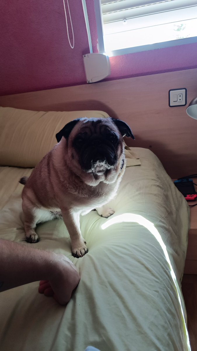 Creo que podría matar por el