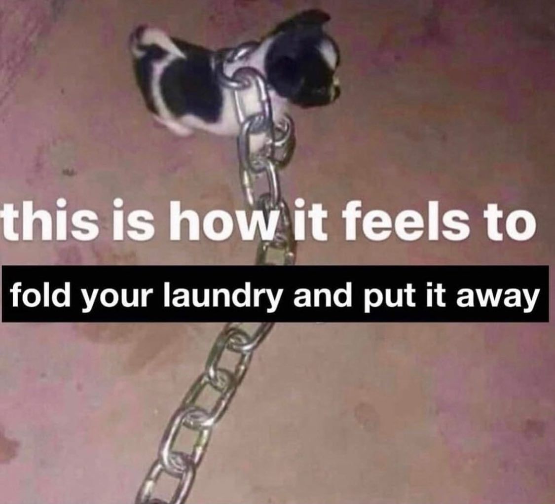 🕐HOURLY🕑 shitpost (@hourly_shitpost) on Twitter photo 