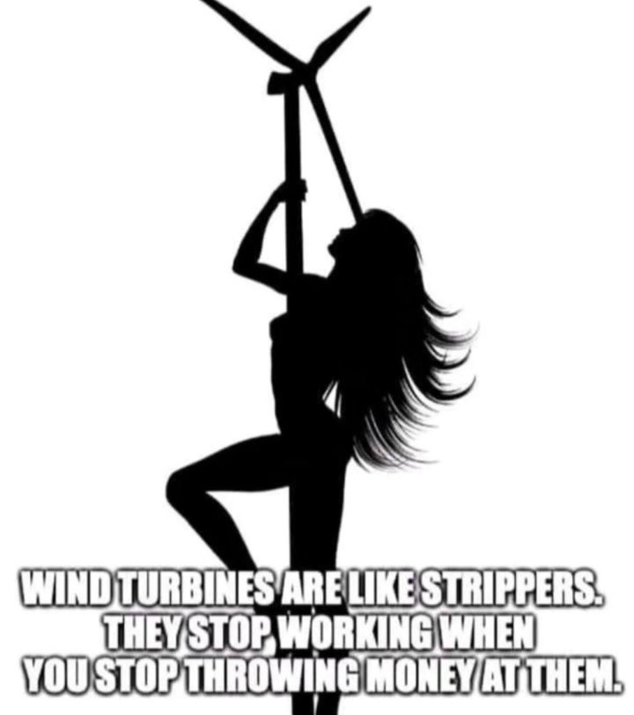 wopizza4's tweet image. 