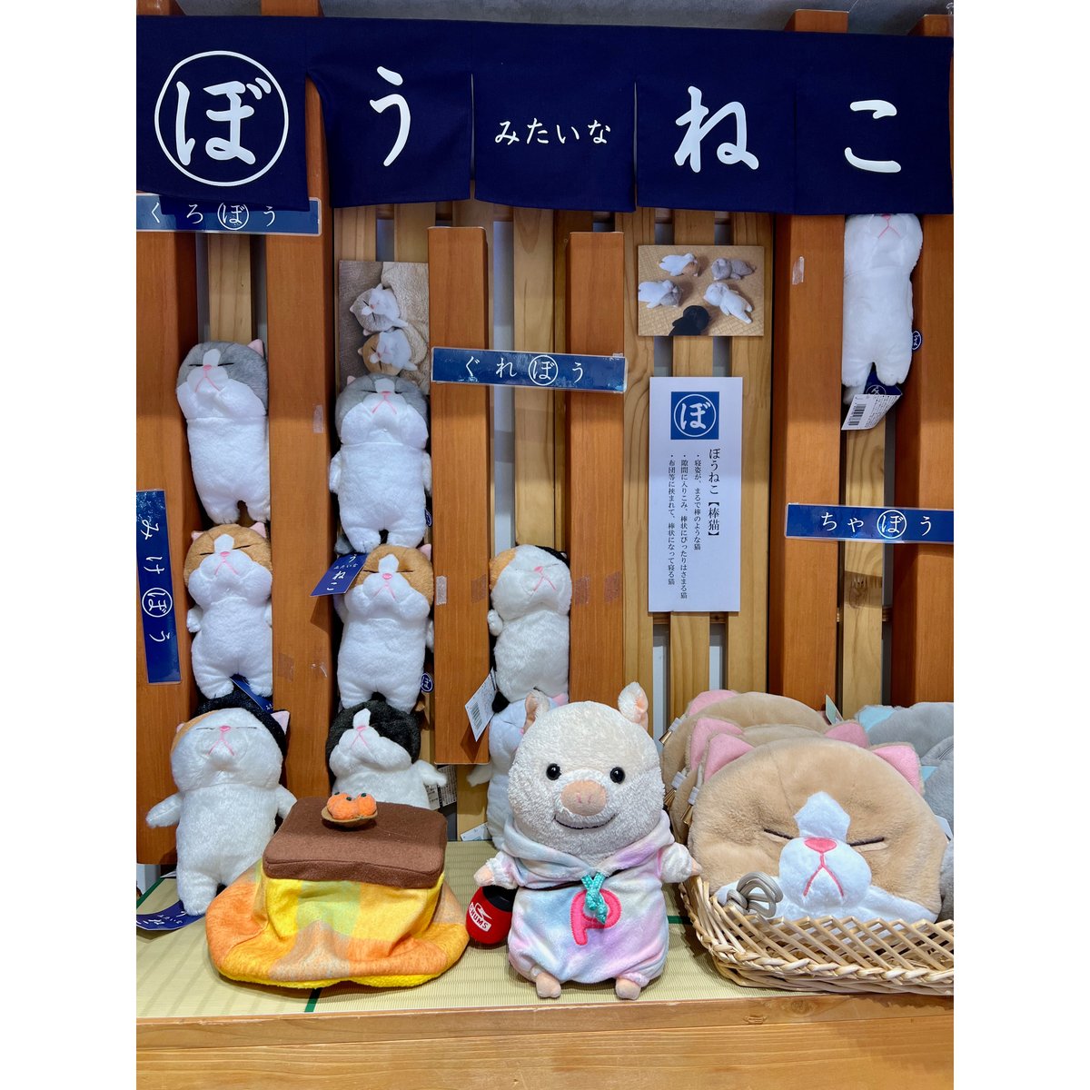 putonputon2014's tweet image. 佐野サービスエリアに #ぼうねこ さんのコーナーがあったよ。
#ぷーとん