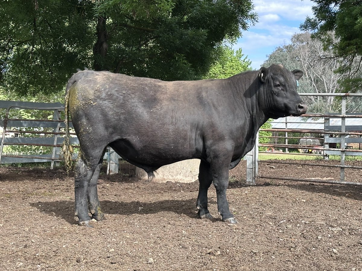 Andrew Freshwater tweet media